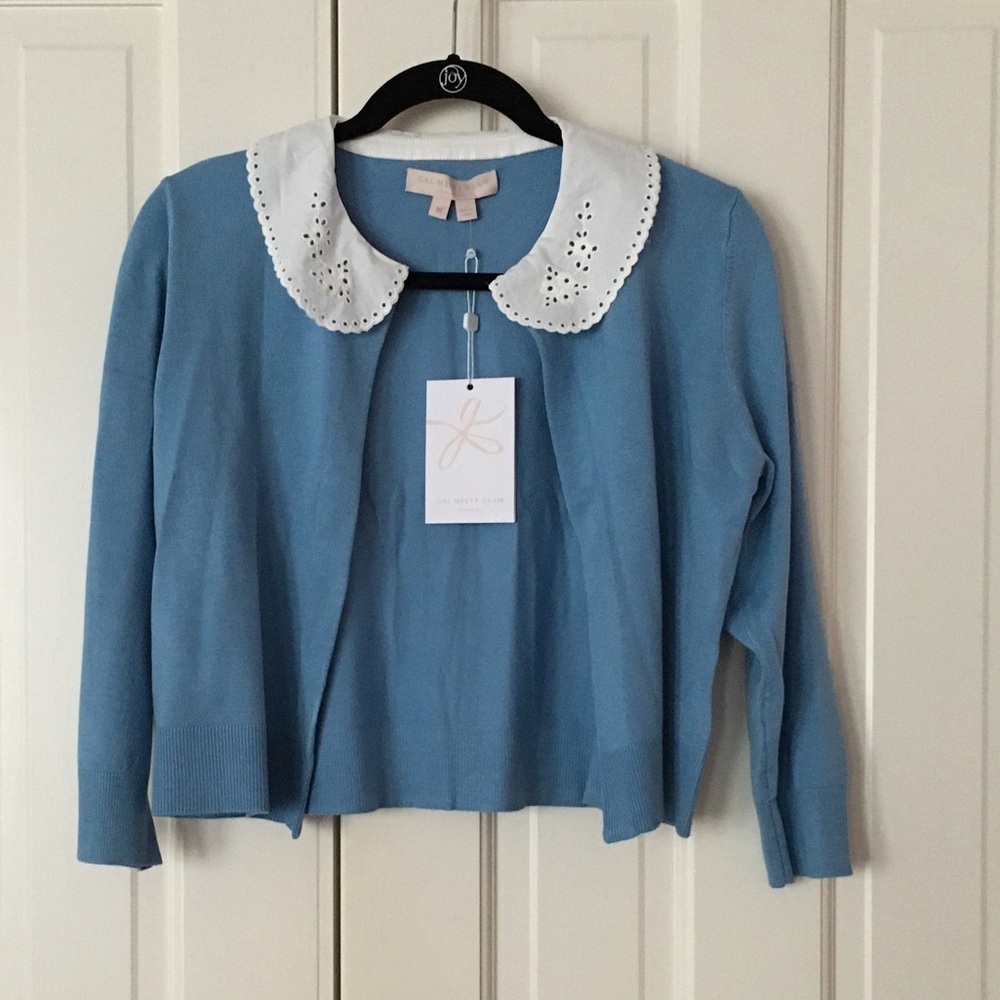Gal Meets Glam Blue sweater